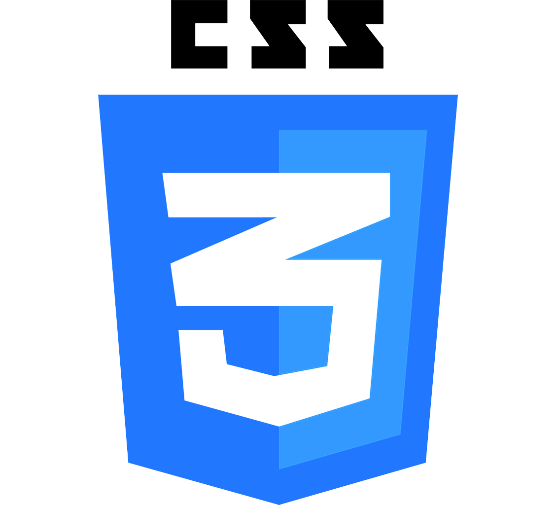 CSS logo